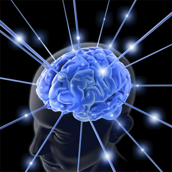 Identifican las partes del cerebro que “piensan”  las estrategias
