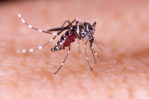 Confirman dos muertes por dengue en Buenos Aires