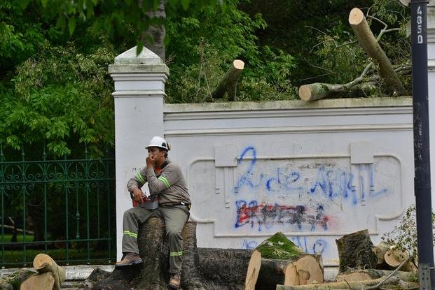 Extraen un árbol en 12 y 66