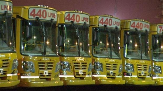 Balearon a un colectivero y  sus compañeros fueron al paro