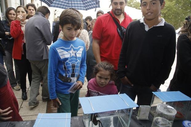 Conicet La Plata sacó la ciencia a la calle y dio cátedra a los vecinos en plaza Malvinas
