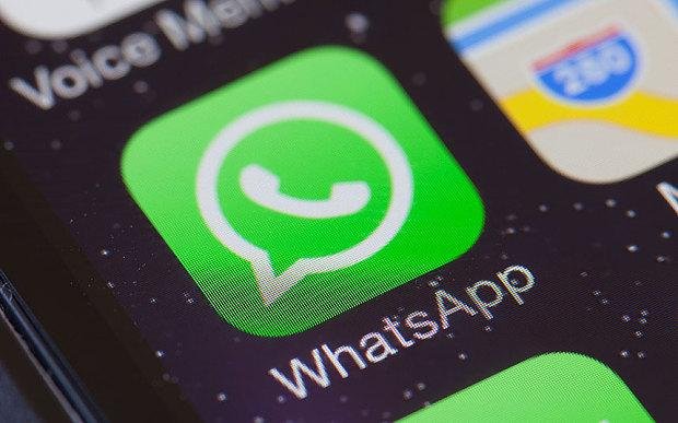 Conectate con EL DIA a través de WhatsApp