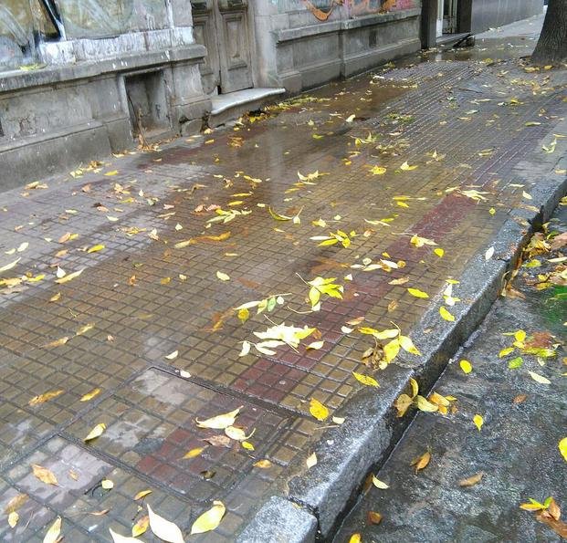 Problemas con una pérdida de agua: "Es una catarata"