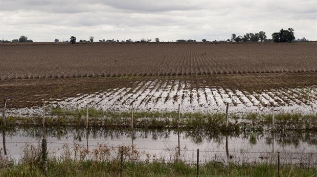 El gobierno brindará ayuda a productores afectados por las inundaciones