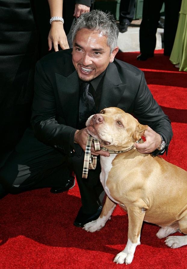 Zafa el “encantador de perros”