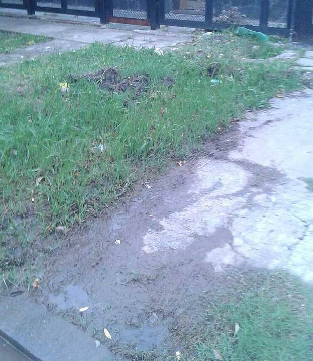 Bronca por una filtración en 16 bis, 76 y 77