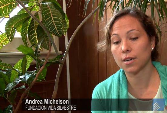 La ampliación de la plataforma marítima y sus oportunidades para cuidar el medio ambiente