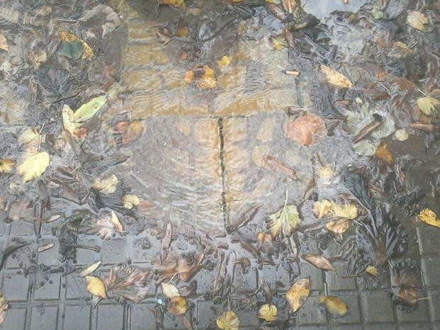 Denuncian que hace dos meses que están sin agua