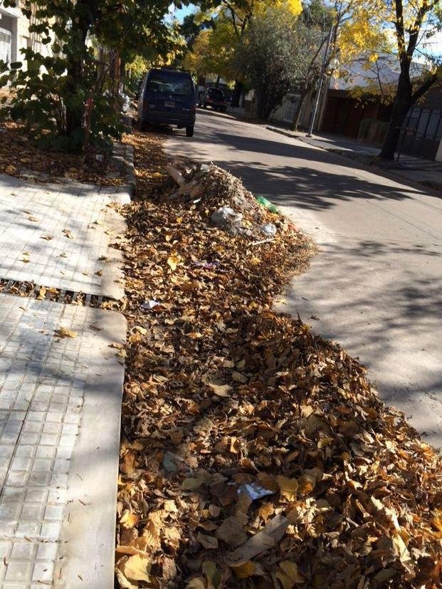 Denuncian que no para de crecer la hojarasca en 21, 57 y 58