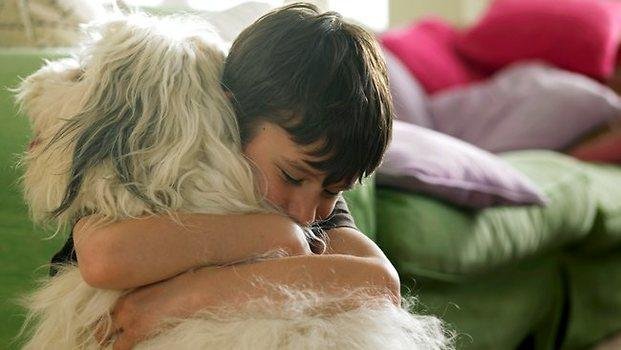 Estudio asegura que a los perros no les gustan los abrazos