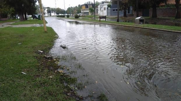 Salió de su cauce el río en la ribera local