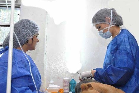 Operativos de Zoonosis