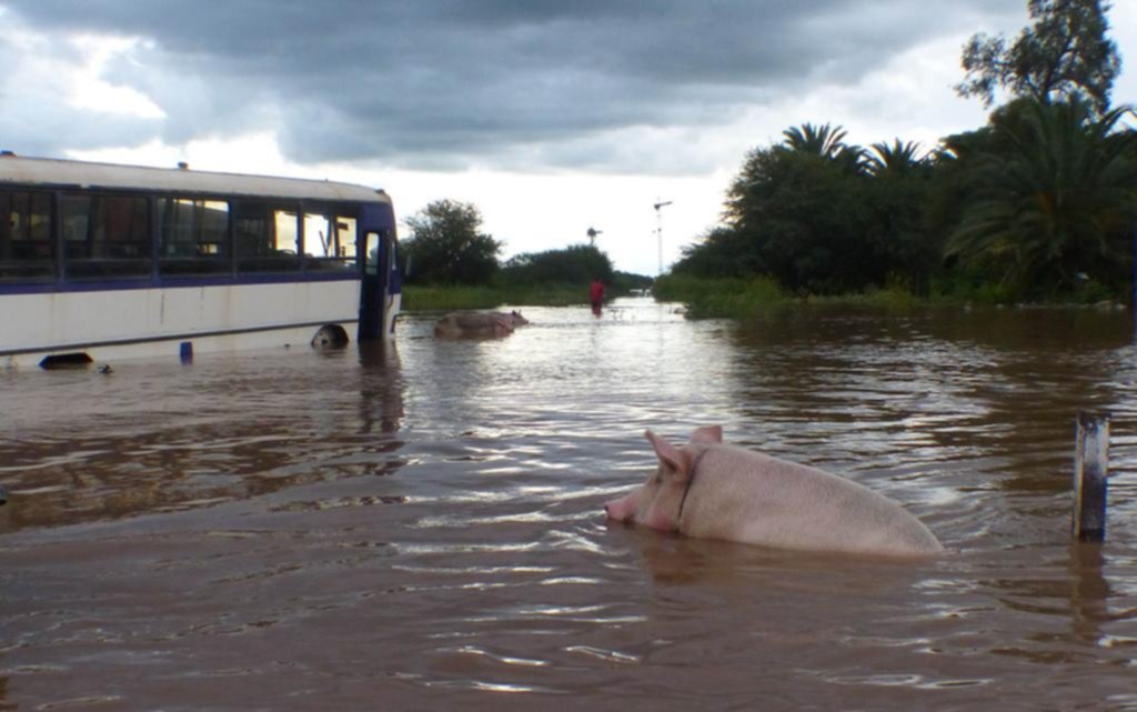 Una “catástrofe climática” sacude a siete provincias que batieron marcas históricas