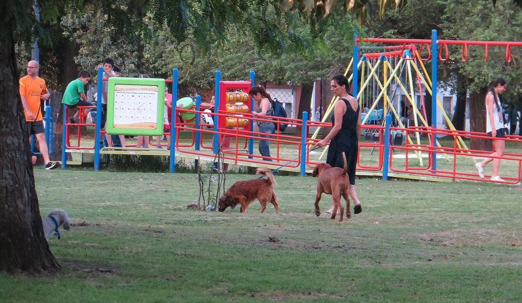 Primer paso para la instalación de garitas en plazas de la Ciudad