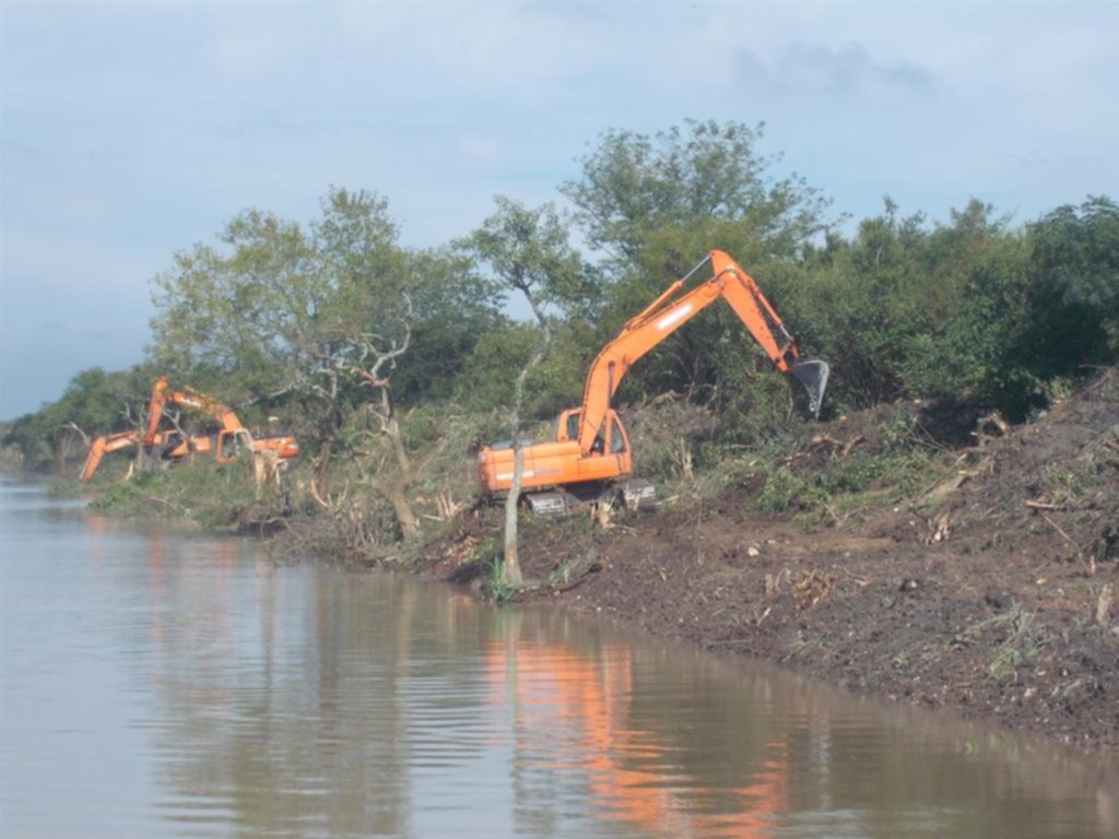 Vecinos pegan el grito por tala de árboles en reserva de Punta Lara