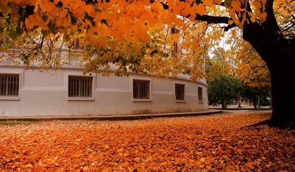 Algunas nubes y descenso en la temperatura: máxima de 23 grados 