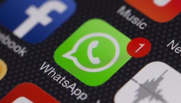 Conectate con EL DIA a través de WhatsApp