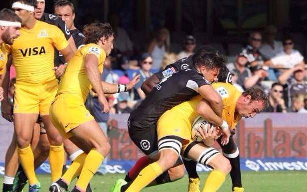 Super Rugby: paso atrás de los Jaguares en nueva derrota