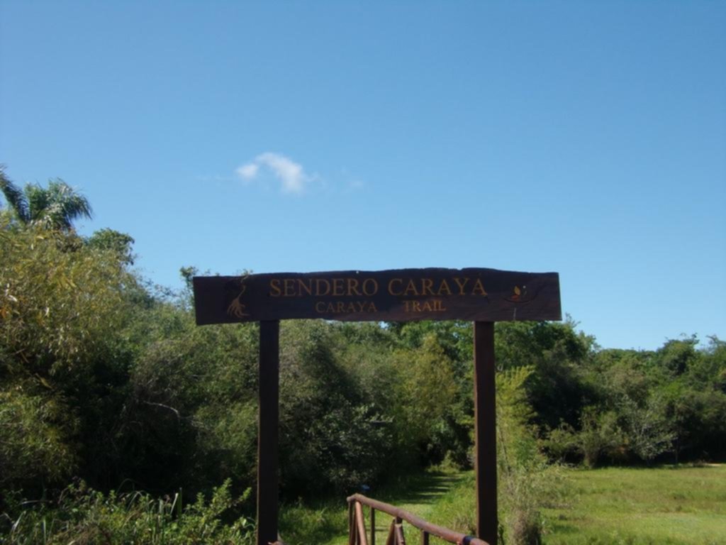 Sendero Carayá: senderismo en Esteros del Iberá