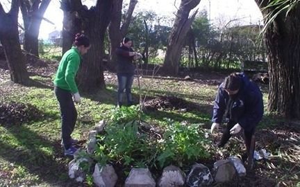 Abren inscripción para curso de huerta a cielo abierto