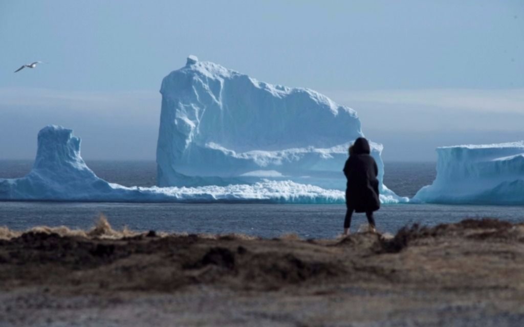 Un pueblo de Canadá recibió un visitante enorme y particular