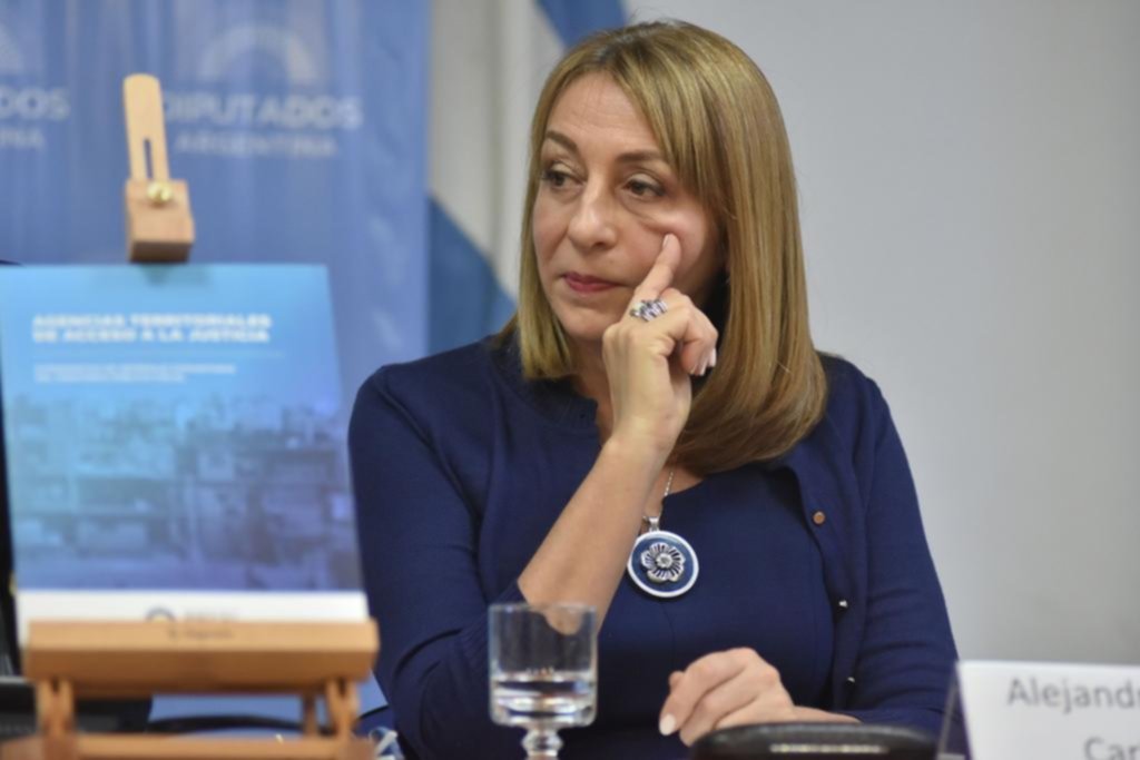 Gils Carbó admitió posibles irregularidades por una compra