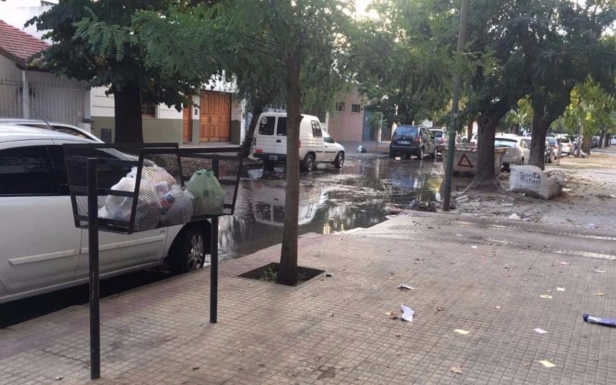 Brote cloacal complica a vecinos de 6 y 37