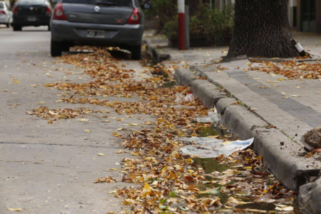 La hojarasca se acumula y pone en jaque a los desagües en diferentes barrios