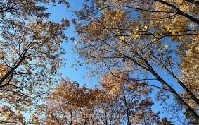 Un viernes primaveral en pleno otoño