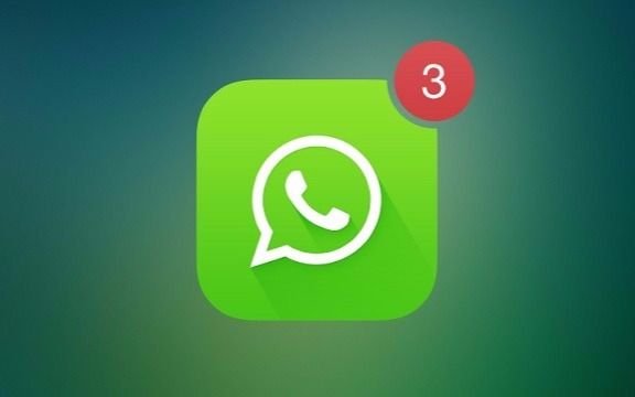 Conectate con EL DIA a través de WhatsApp