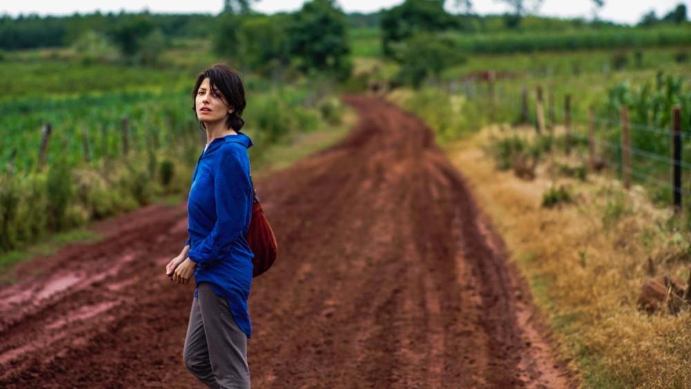 Thriller moral: “Una especie de familia”, la cinta argentina más premiada, llega a Netflix