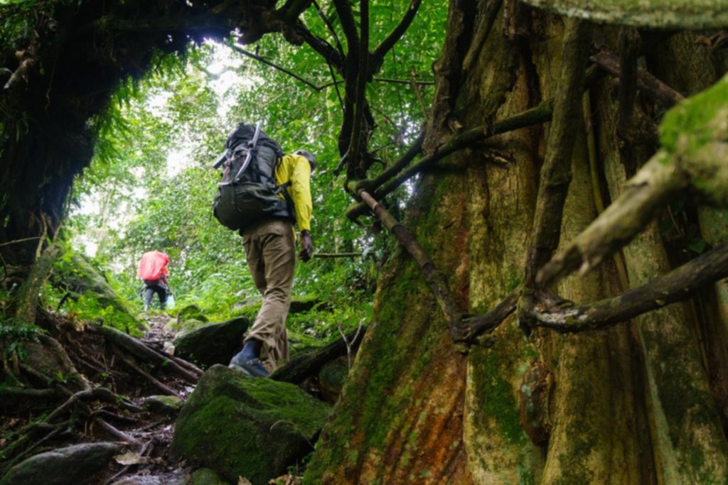 La adrenalina de realizar trekking en las Montañas de la Luna en Uganda