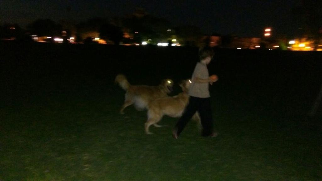 Todo a oscuras en Parque Alberti: riesgo y preocupación