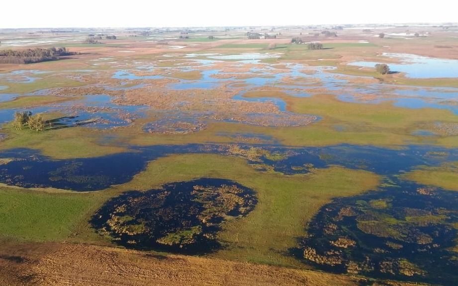 Declaran en emergencia agropecuaria a 27 distritos bonaerenses por sequía