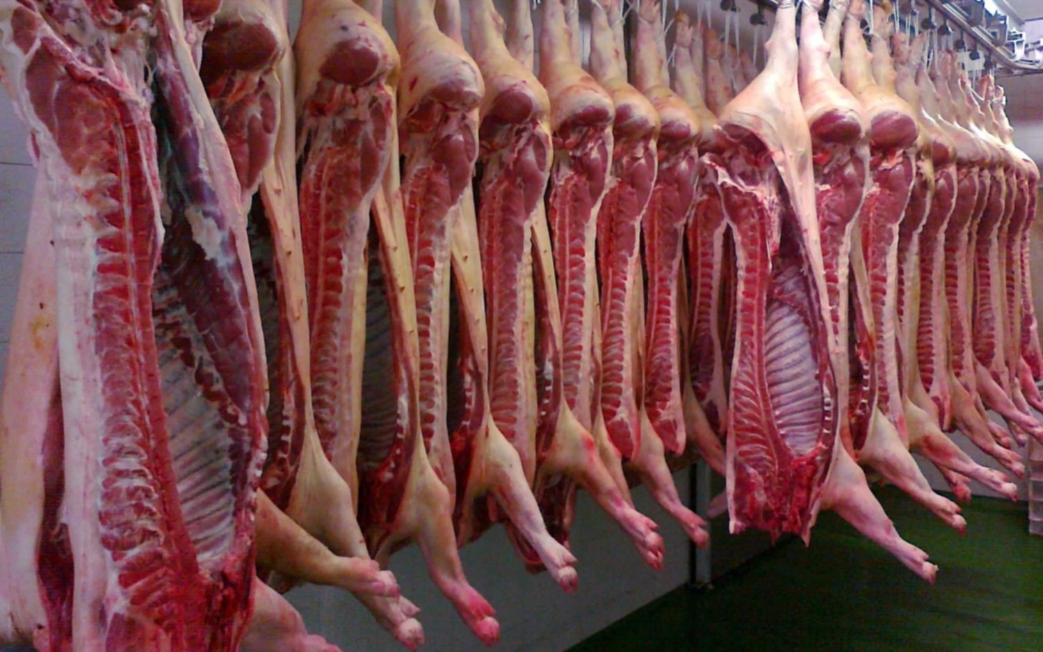 La Argentina habilitó el ingreso de carne de cerdo desde los Estados Unidos