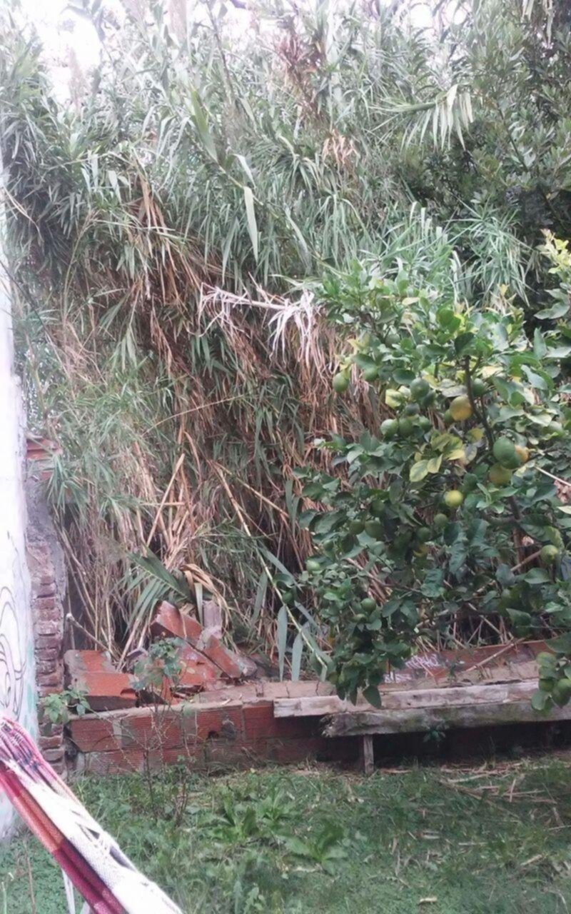 Quejas por el abandono de un terreno en Tolosa