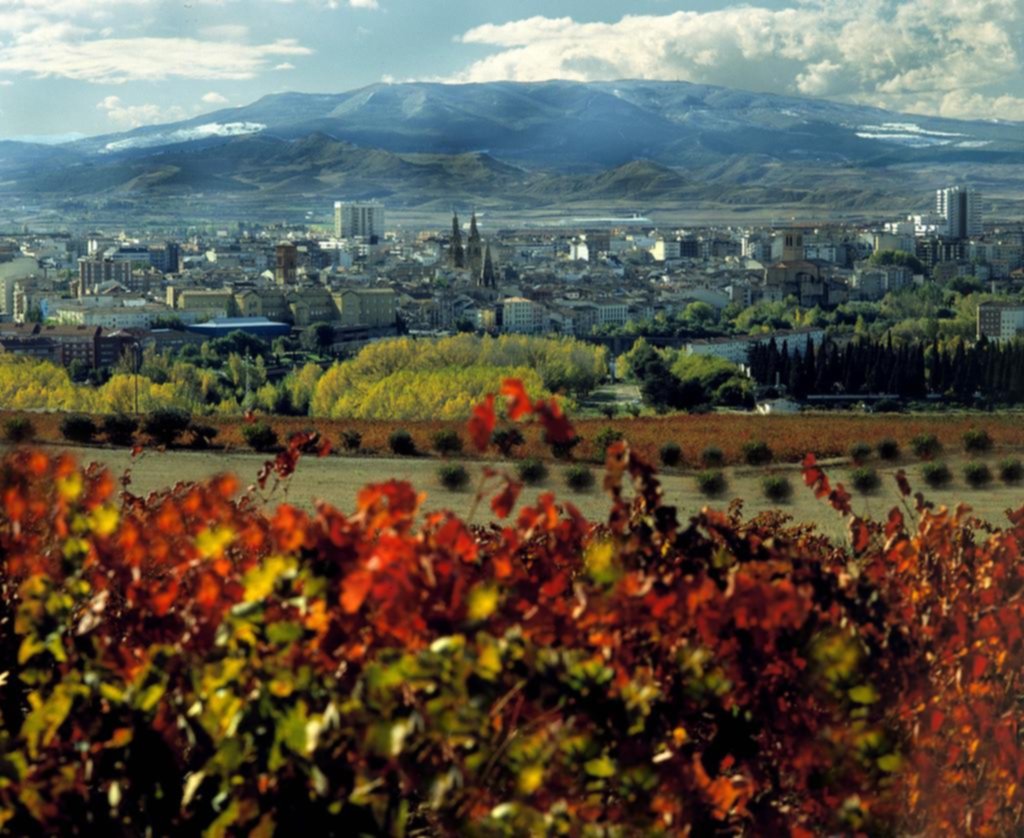 En Logroño, el vino riojano y el camino de Santiago son un “maridaje” imperdible