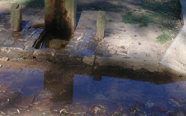 Continúan las pérdidas de una canilla en el Bosque