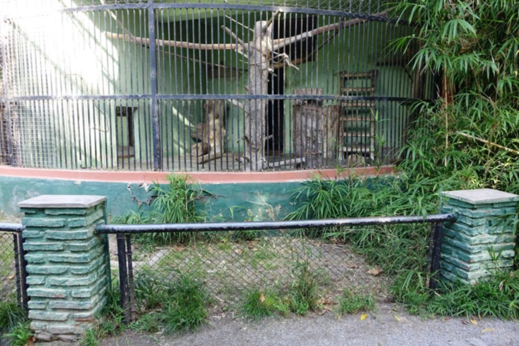 Con menos animales exóticos y más recintos vacíos, el Zoo ya empieza a mostrar otro perfil