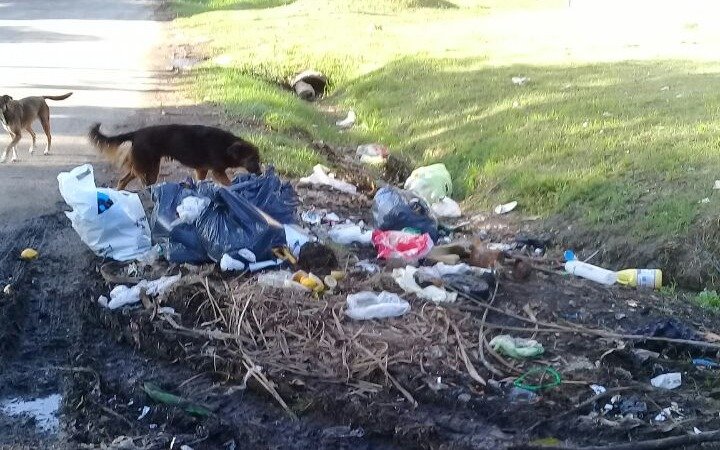 Piden que mejore el estado general de la calle 97 y 6