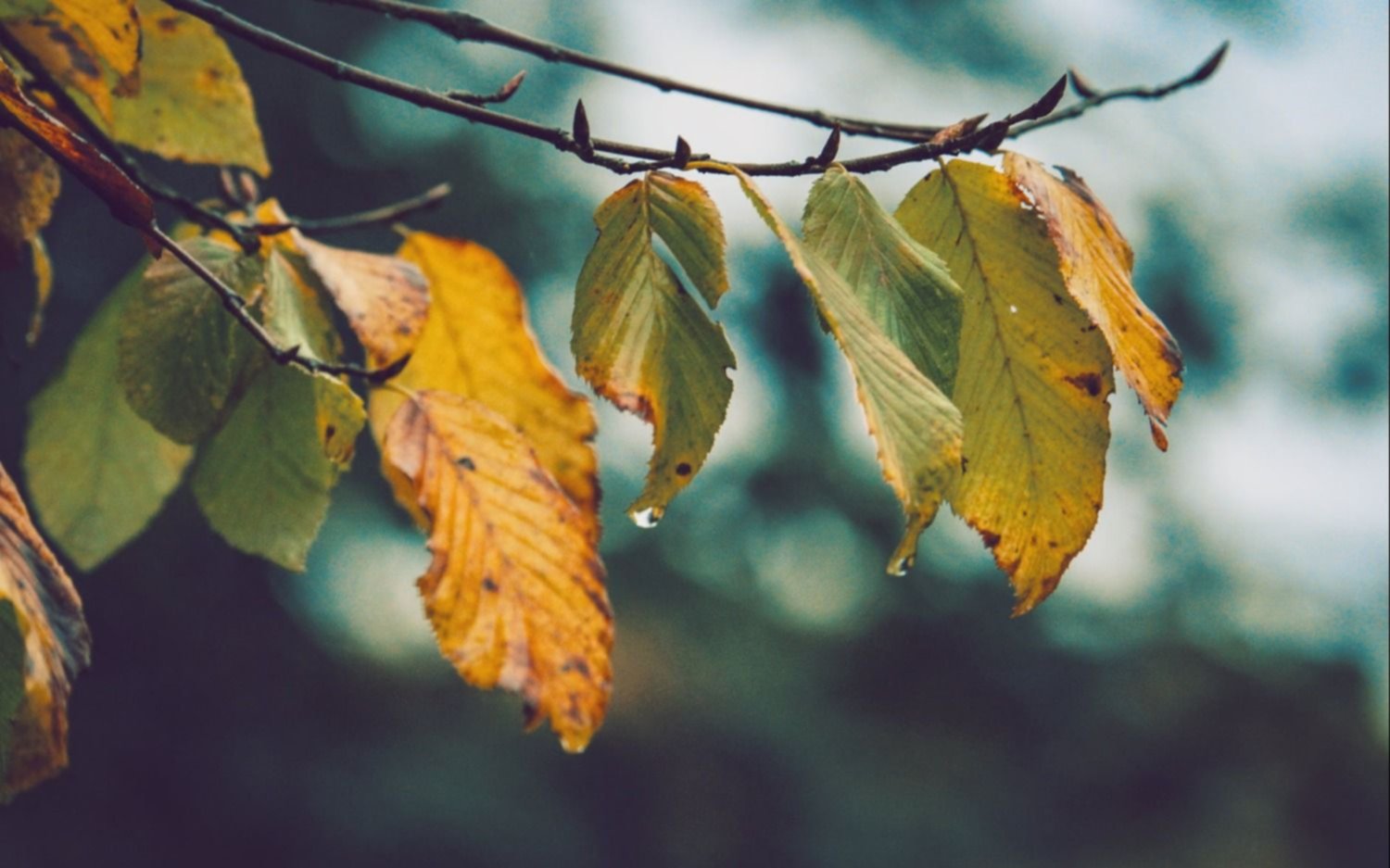 Jueves con calor y posibles lluvias