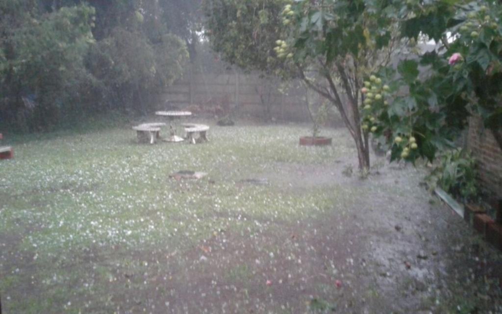 En los verdes jardines las plantas sufrieron, y mucho