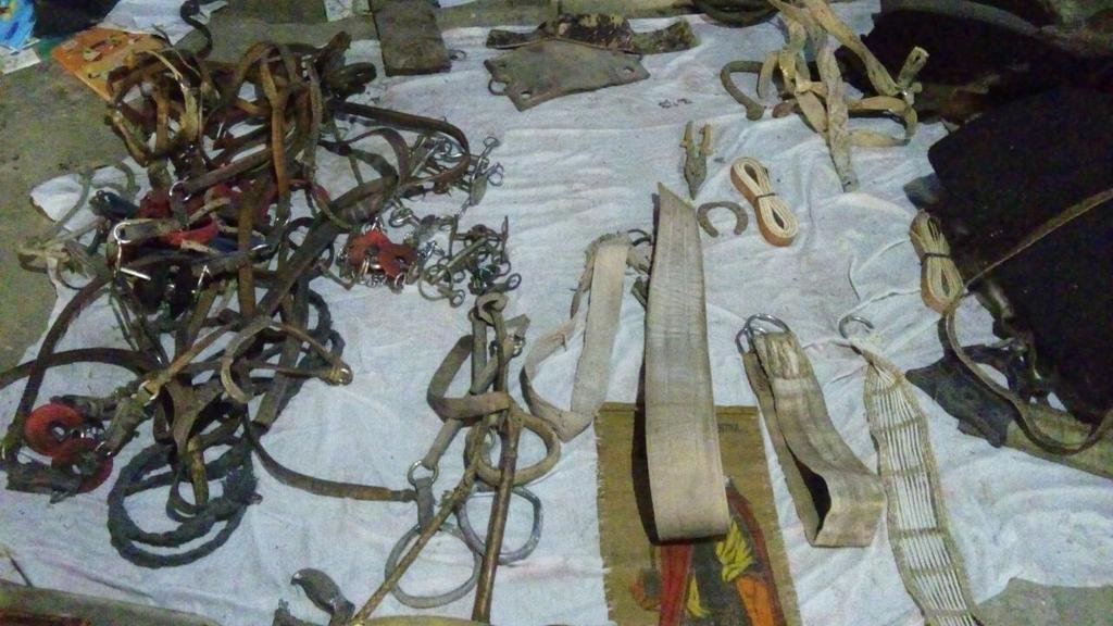 Desarticularon un grupo de bandidos rurales que envenenaban perros
