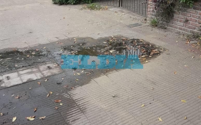 Otro brote de agua en la Ciudad