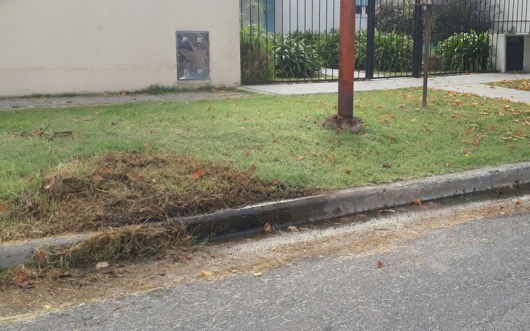 Un caño roto deja sin presión de agua a varias familias en Ringuelet