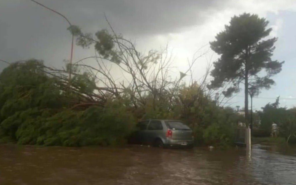 Evalúan daños tras una feroz tormenta con un muerto en San Rafael