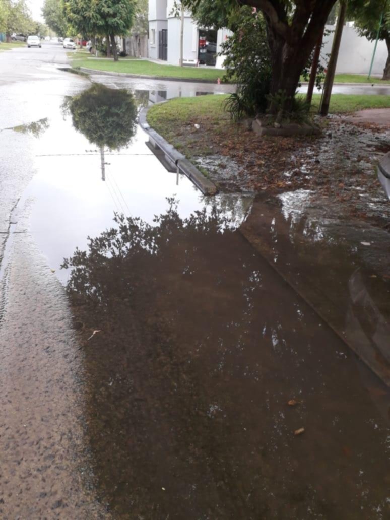 Una laguna no para de crecer en Ringuelet