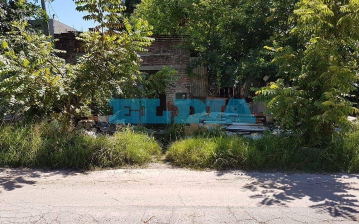 Piden limpieza de basurales y eliminación de pastos en una casa en Los Hornos