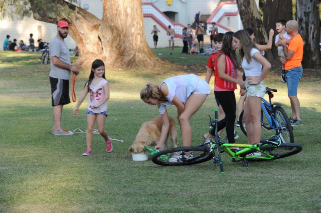 Entre las hojas amarillas, el otoño tuvo un día de verano