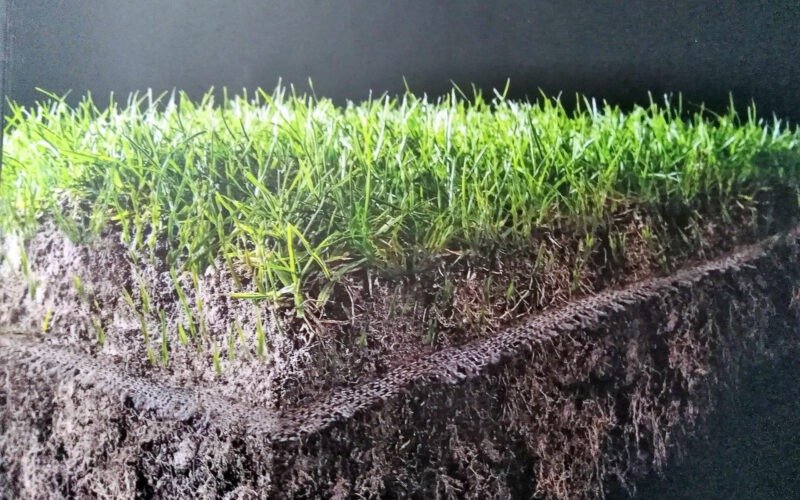 ¿Qué es el Playmaster, el nuevo césped para el Estadio de Estudiantes?